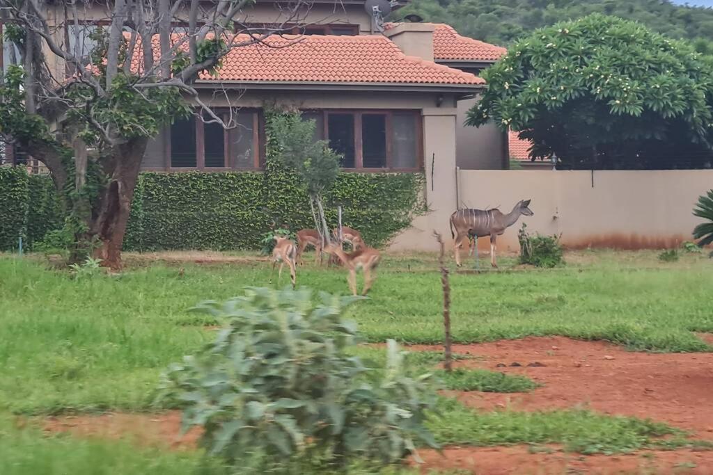 66 Sharalumbi Wildlife Estate Apartman Lydenburg Kültér fotó