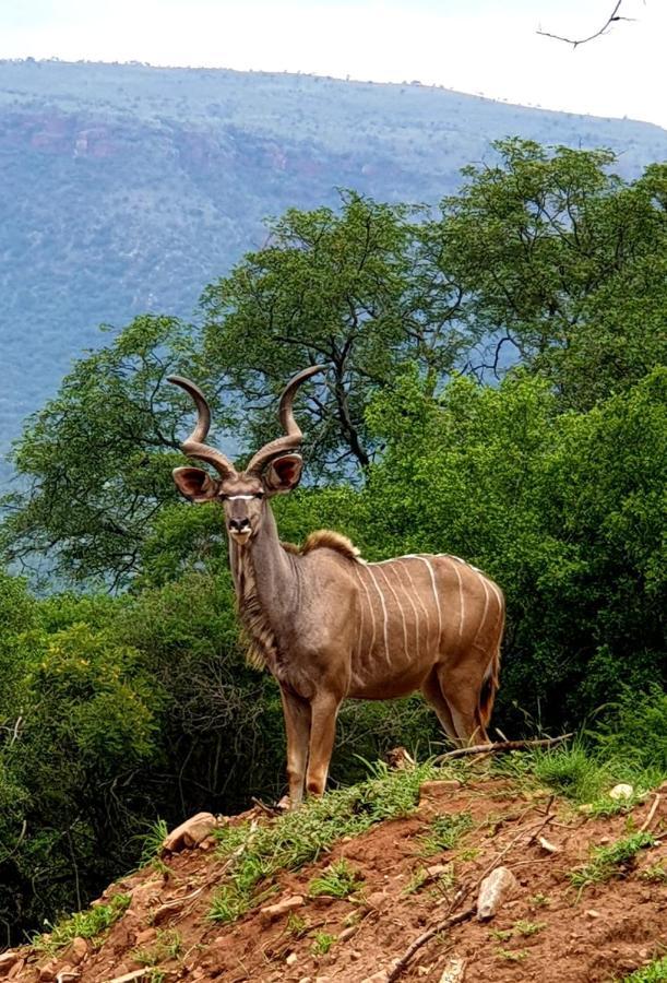 66 Sharalumbi Wildlife Estate Apartman Lydenburg Kültér fotó