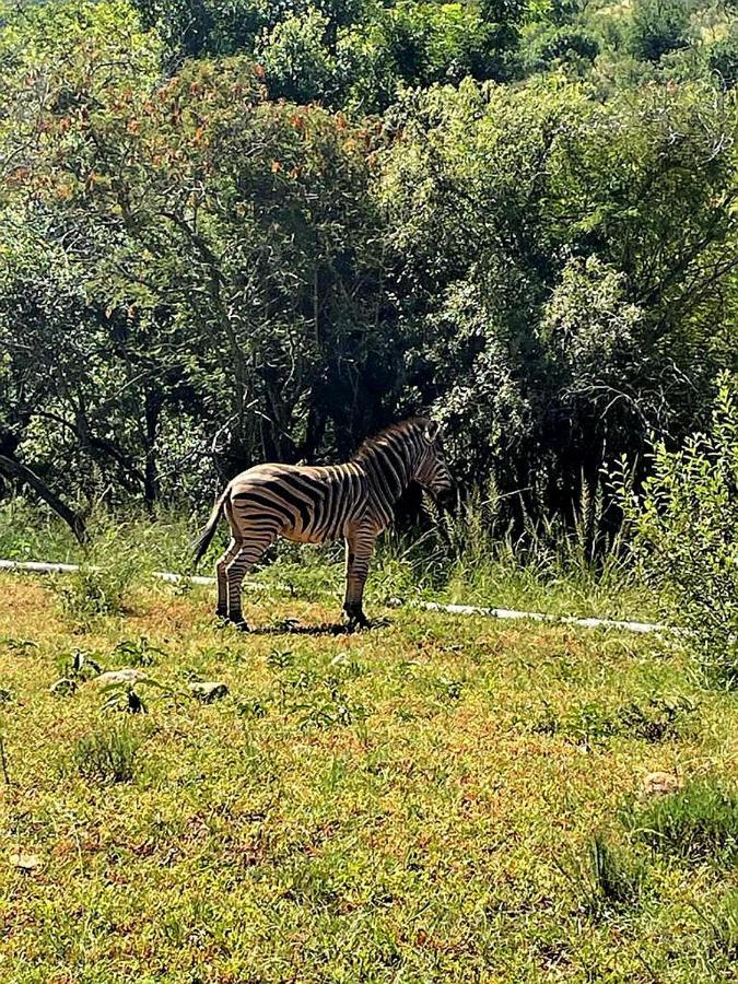 66 Sharalumbi Wildlife Estate Apartman Lydenburg Kültér fotó