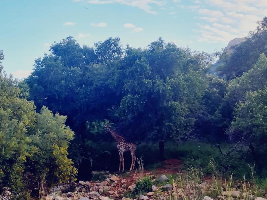 66 Sharalumbi Wildlife Estate Apartman Lydenburg Kültér fotó