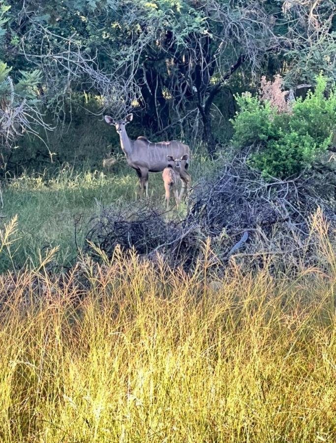 66 Sharalumbi Wildlife Estate Apartman Lydenburg Kültér fotó