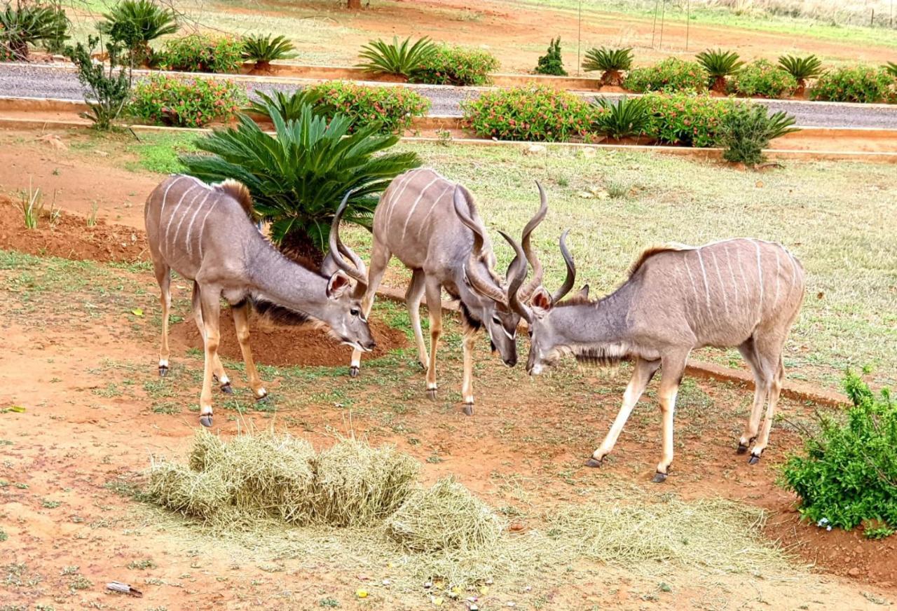 66 Sharalumbi Wildlife Estate Apartman Lydenburg Kültér fotó