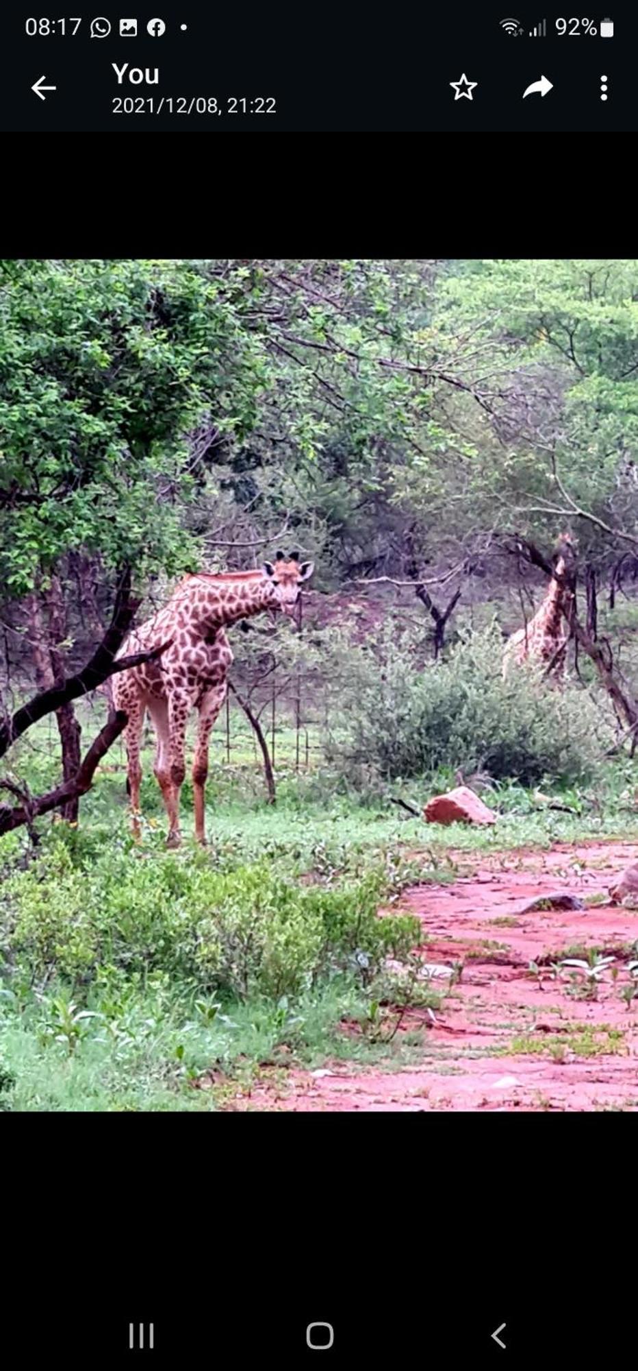 66 Sharalumbi Wildlife Estate Apartman Lydenburg Szoba fotó