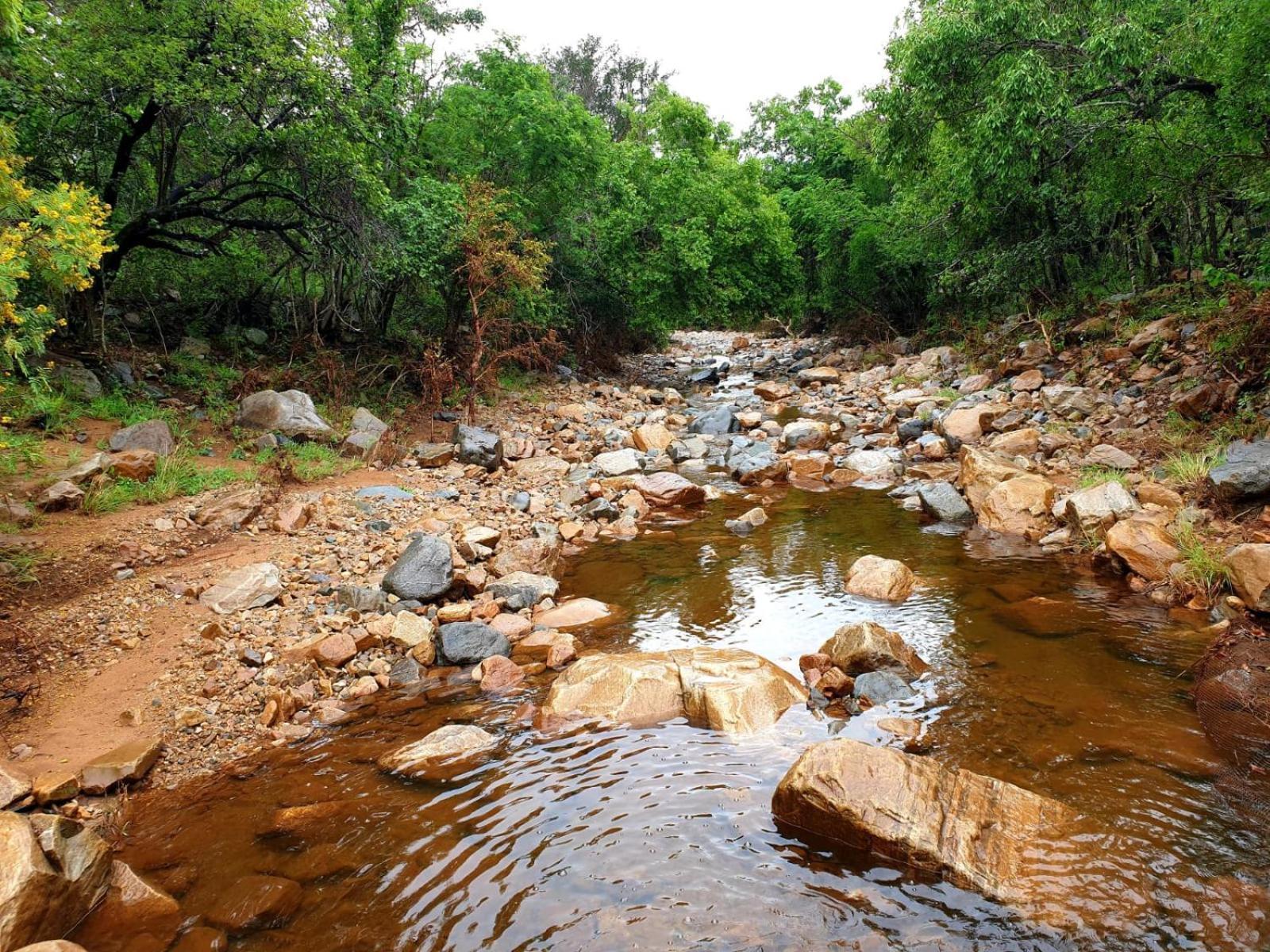 66 Sharalumbi Wildlife Estate Apartman Lydenburg Szoba fotó